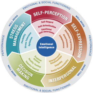 Certification Workshops on Emotional Intelligence